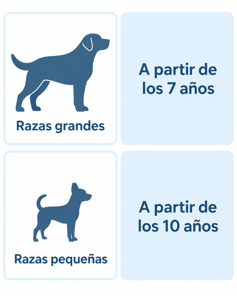 Comparativa de la edad de aparición de la artrosis según el tamaño del perro: razas grandes desde los 7 años, razas pequeñas desde los 10